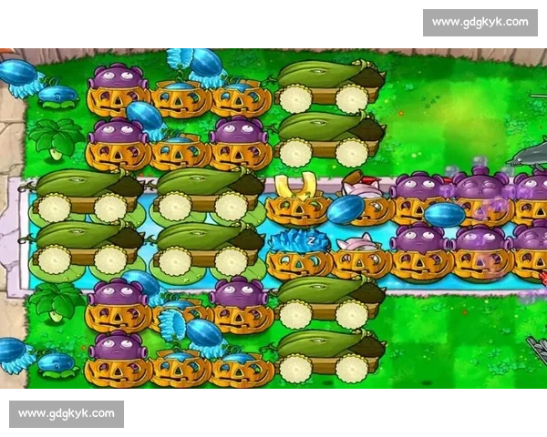 武僧一龙挑战暴君拳王的巅峰对决谁能笑到最后